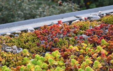 the cost of Greeny green roof installation