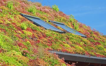 Greeny living roof systems