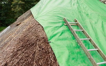 maintaining Greeny thatch