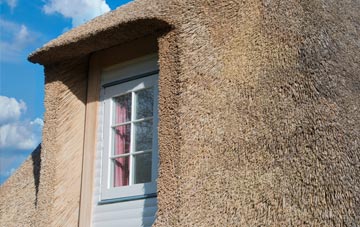 Greeny thatch roof disadvantages